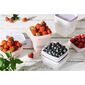 Set de recipiente SmartStore de plastic pentrucongelator 6 buc, lavanda, 300 ml