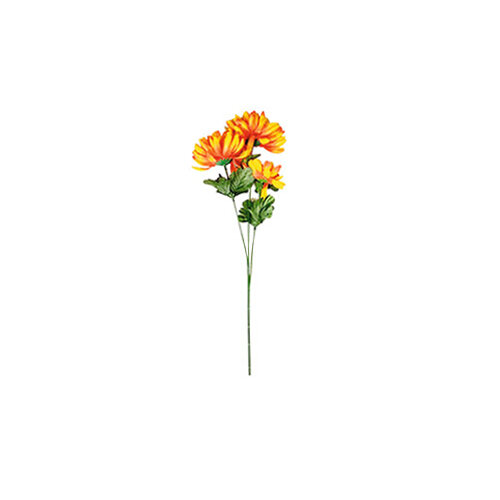 Chryzantéma plnokvětá, 3 květy, v. 58 cm