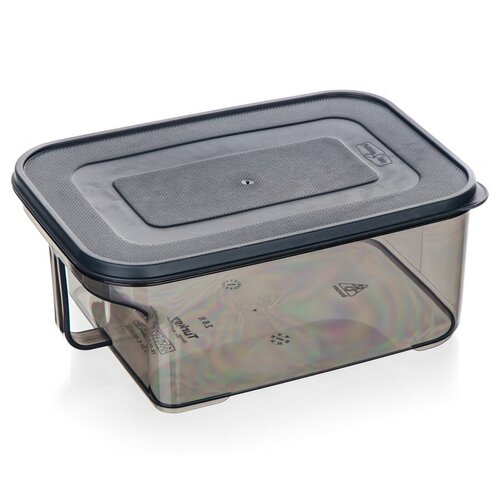 Banquet Контейнер для зберігання з ручкою ZOYA 2,6л, димчатий