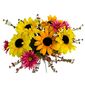 Buchet de floarea soarelui, gypsophila, cu douăfețe , h. 48 cm