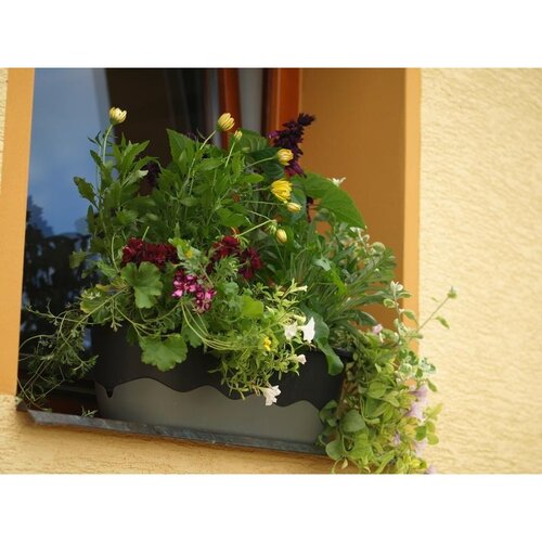 Plastia Selbstbewässernder Blumenkasten Mareta Grau, 60 cm