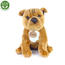 Rappa Plišasti pes Stratfordshire Bull Terrierrjave barve , 30 cm