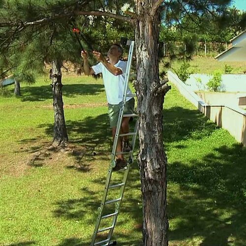 Mediashop HammerSmith Super Ladder Večnamenskalestev