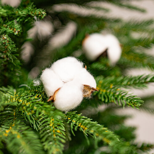 Декоративні головки з тополі, 12 шт