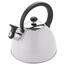 Florina Teekessel Brillo 2,5 l, hellgrau