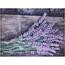 Nantes Lavender vászonkép, 78 x 58,5 cm