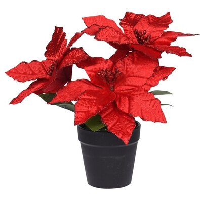 Штучний Молочай-різдвяник червоний, 18 x 27 см