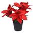Штучний Молочай-різдвяник червоний, 18 x 27 см