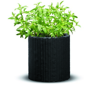 Keter Plastični cvetlični lonec Ratan, antracit,28 x 28 x 28,3 cm
