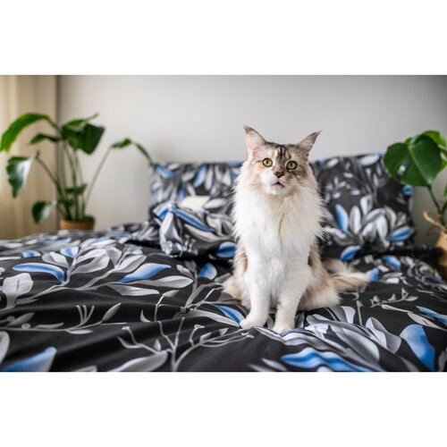 Satenasta posteljnina Ema Blanche, 140 x 200 cm,70 x 90 cm + 40 x 40 cm
