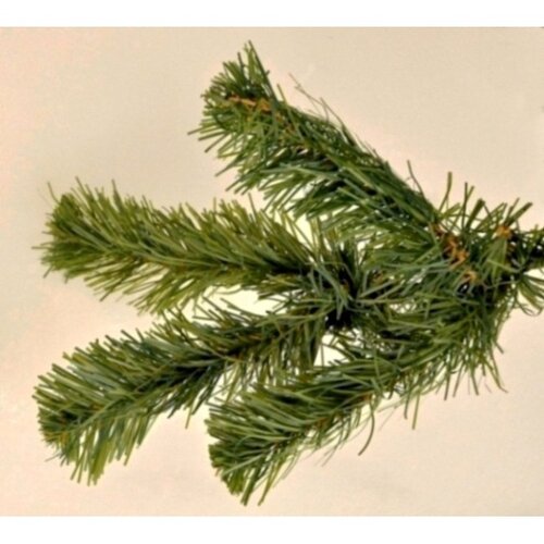 Vánoční stromek Smrk kanadský, 180 cm