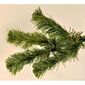 Vianočný stromček Smrek kanadský, 180 cm