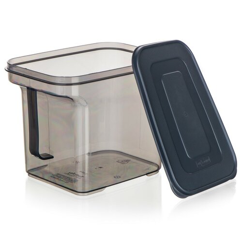Banquet Cutie de depozitare cu mâner ZOYA 2,75 l,fumurie
