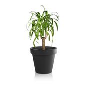 Gardenico Květináč Metro Twist 'n' Roll antracit, 29 x 26,5 cm