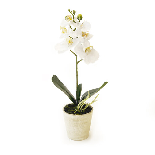 Umelá kvetina orchidea biela, 39,5 cm