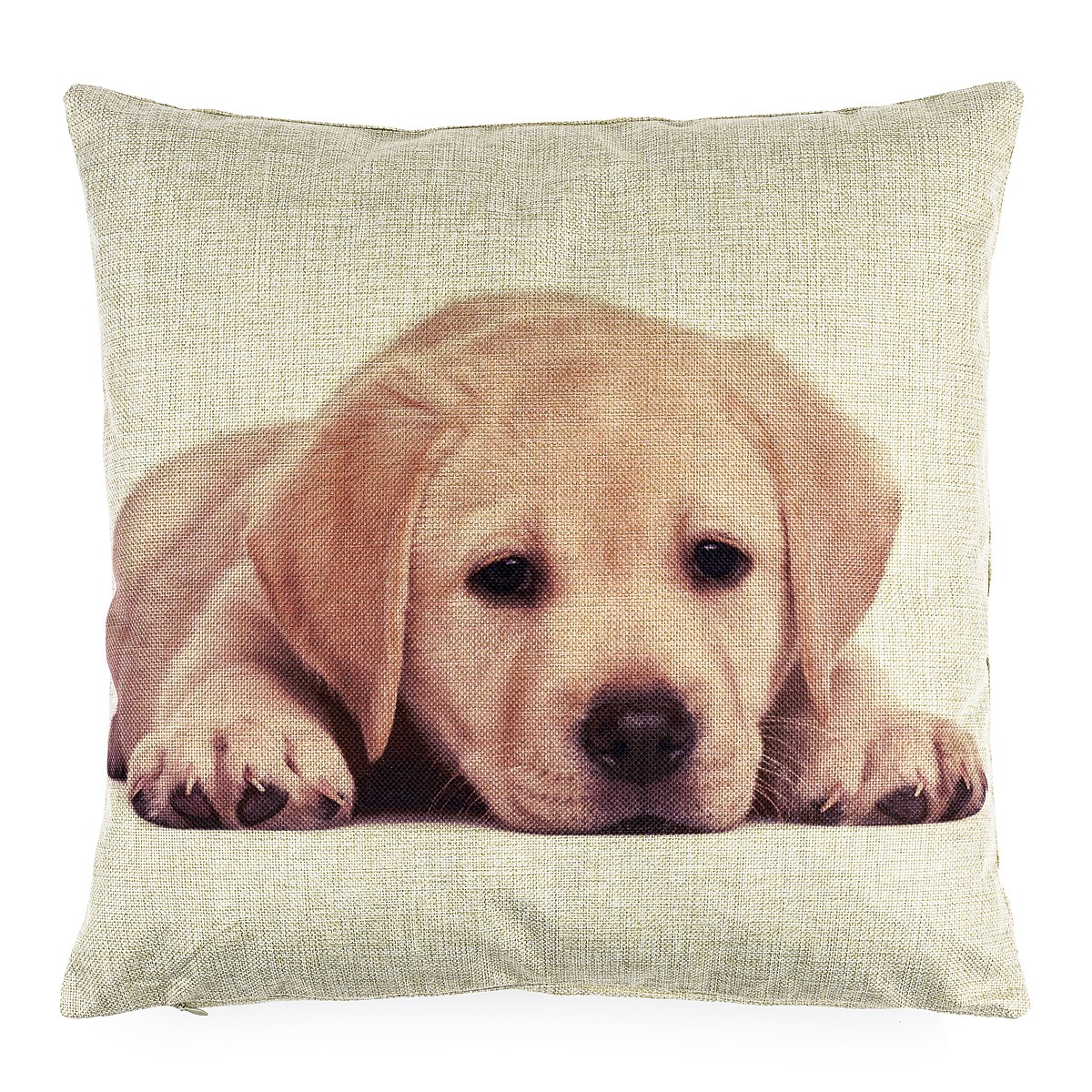 Jahu Obliečka na vankúšik Šteňa, 45 x 45 cm