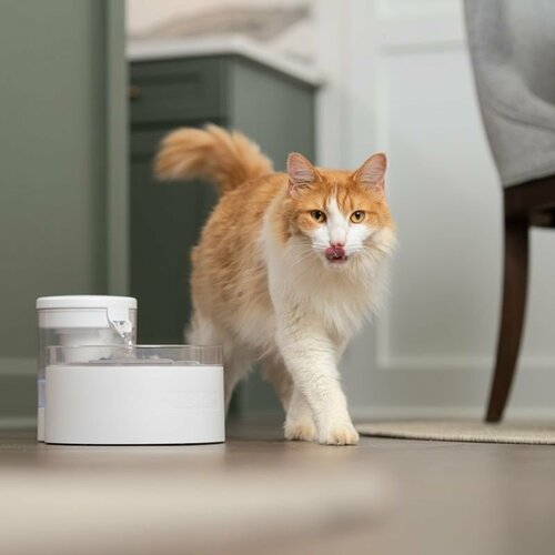 PetSafe® Outlast™ Fântână 1,7 litri