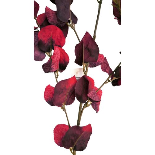 Sada podzimní větev Eukalyptus, 95 cm, 2 ks