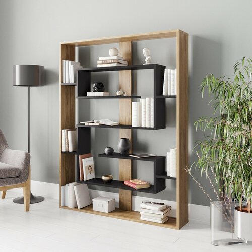 Knihovna Esteban Oak and Black