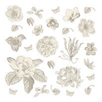 Dekoracja samoprzylepna Pastelowe kwiaty, 30 x 30 cm
