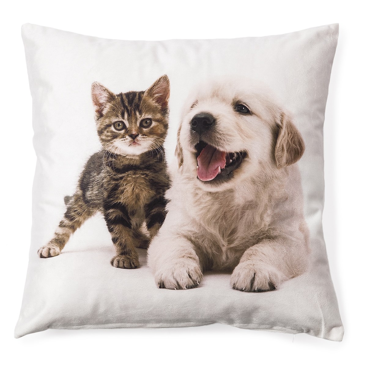 BO-MA Trading Obliečka na vankúšik Šteňa a strakaté mačiatko 5, 40 x 40 cm