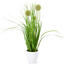Umělá kvetoucí tráva Justine zelená, 36 cm