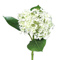 Umělá hortenzie bílá, 44 cm
