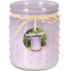 Репелентна свічка Citronella 230 г, фіолетова, 10,5 х 12,5 см