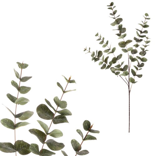 Eucalipt - ramură artificială, frunze mari, 100 cm, verde