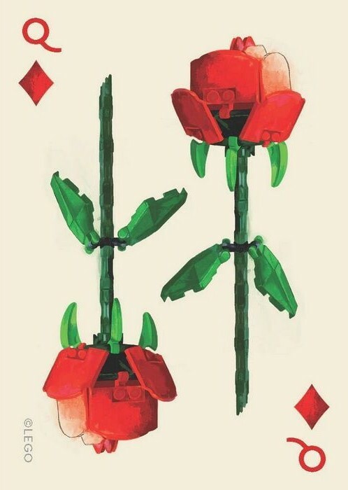 Chronicle Books LEGO® Set botanických hracích kariet