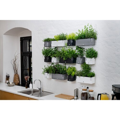 Flower Lover Pametni lonček za zelišča Cobblewhite, 14 cm