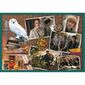 Puzzle Trefl Harry Potter, 10în1