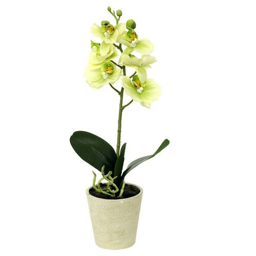Művirág orchidea zöld, 39,5 cm