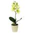 Umělá květina orchidea zelená, 39,5 cm