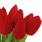 Puget červených tulipánov, 7 kvetov, 35 cm