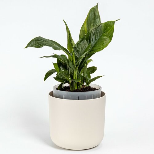 Plastia öntözőedény Tolita Air krém, átmérő 19 cm