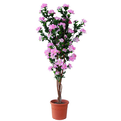 Umelá kvitnúca Azalka v kvetináči svetloružová, 120 cm