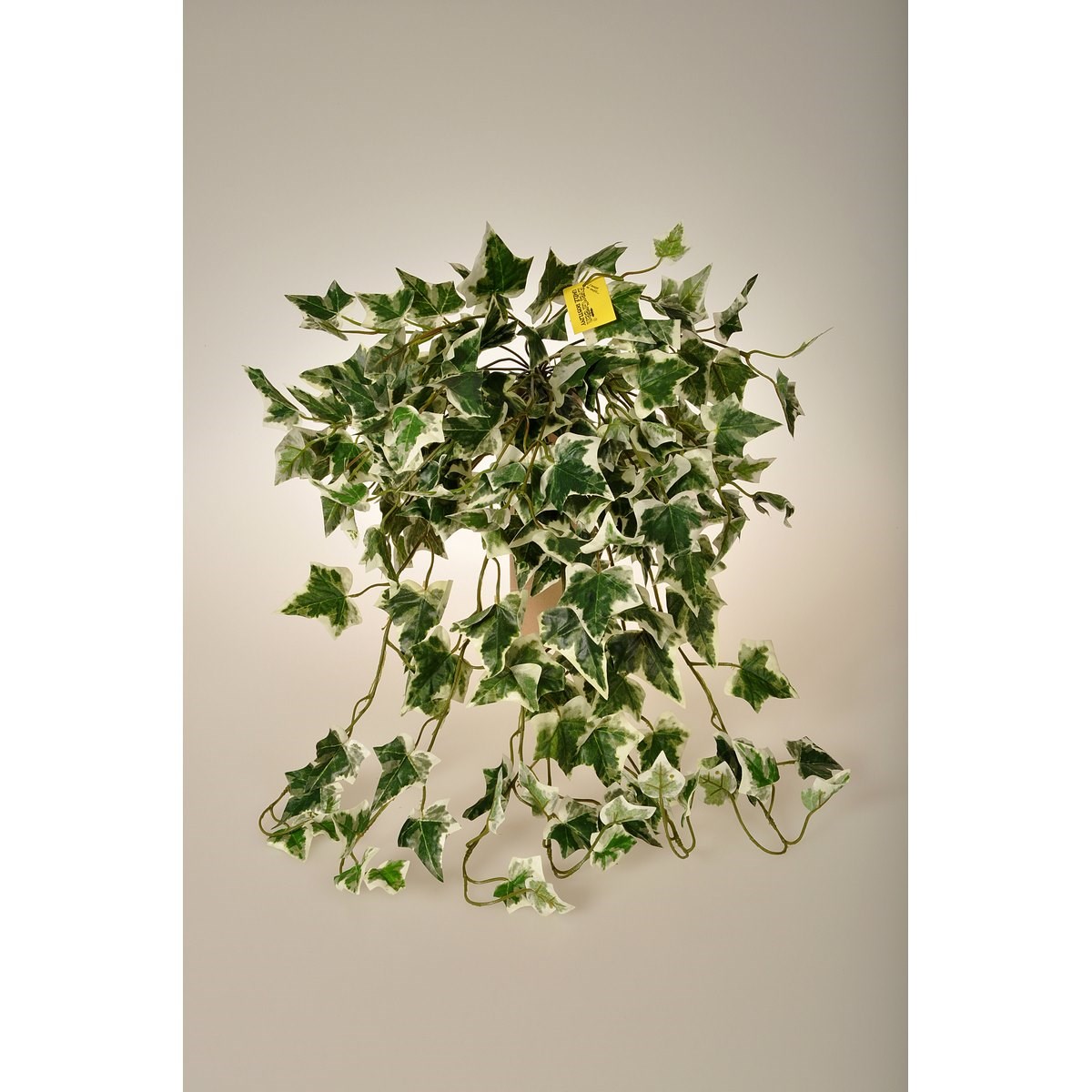 Umělý Holandský břečťan, 80 cm