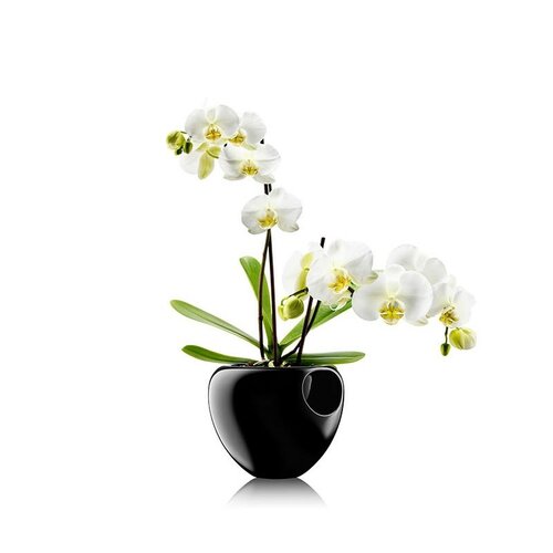 Samozavlažovací kvetináč 15 cm, čierny