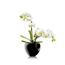 Samozavlažovací květináč 15 cm, černý
