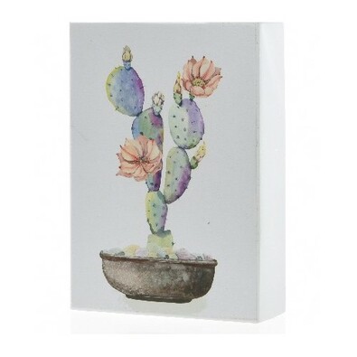 Obraz Kaktus Pryšec, 13 x 18 cm