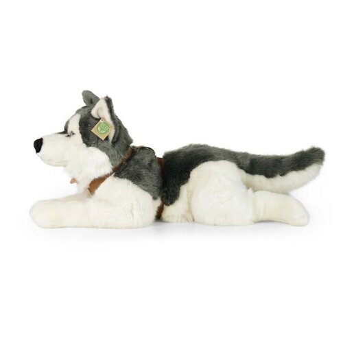 Rappa Plüss husky hámmal 60 cm ECO - FRIENDLY