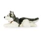 Rappa Plüss husky hámmal 60 cm ECO - FRIENDLY