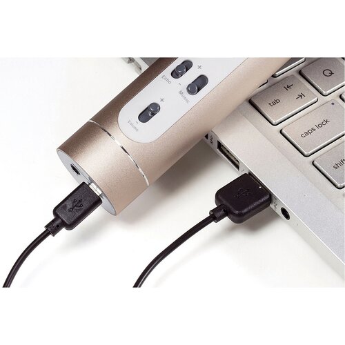 Microfon de karaoke Teddies cu Bluetooth, auriu, alimentat cu baterii, cu cablu USB