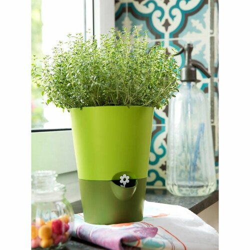 Emsa Doniczka samonawadniająca na zioła Fresh herbs jasnoszary, śr. 13 cm