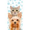 Ręcznik kot i pies, 70 x 140 cm