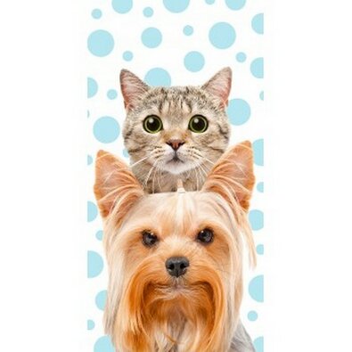 Ręcznik kot i pies, 70 x 140 cm