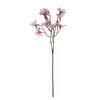 Magnolija veja vijolična v. 70 cm. 9 cvetov inpopki