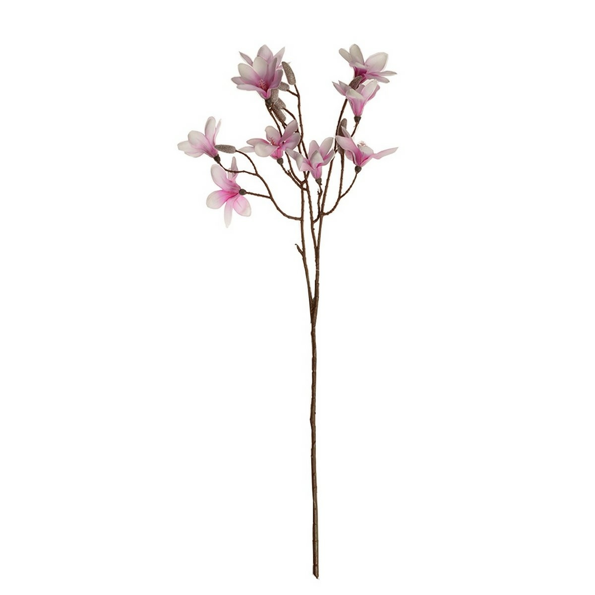 Magnolia gałązka fioletowa 70 cm wysokości. 9kwiatów i pąków