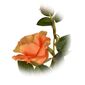 Umělá květina Čajová růže oranžová, 47 cm